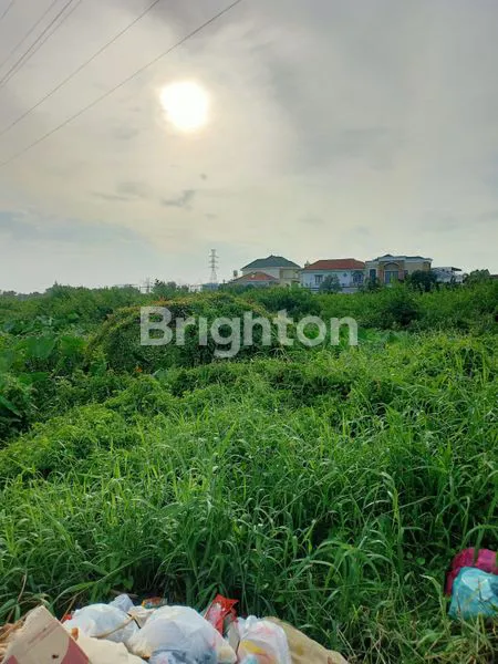 image JUAL TANAH MURAH (1)