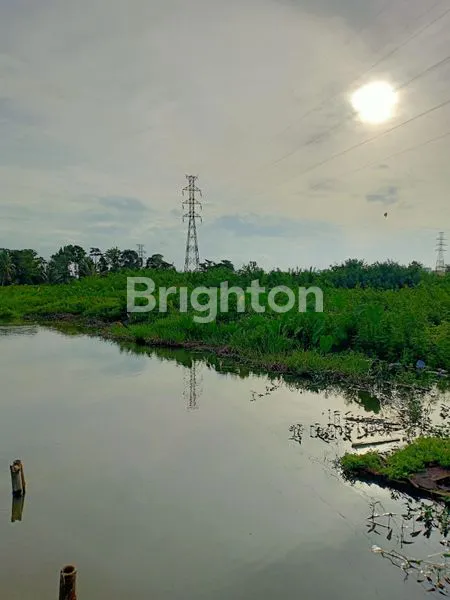 image JUAL TANAH MURAH (3)