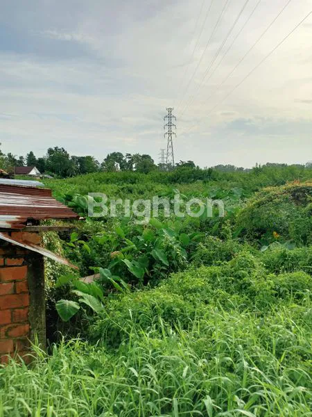 image JUAL TANAH MURAH (4)