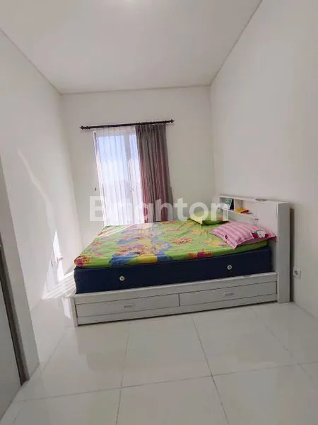 image GREENLAND CLUSTER GARBERRA (2)