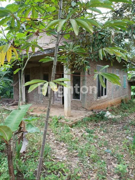 KEBUN BESERTA ISINYA BATU PUTU BANDAR LAMPUNG