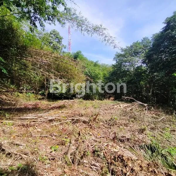 image DIJUAL TANAH LUAS LOKASI STRATEGIS DEPAN POLTEK BALIKPAPAN (4)