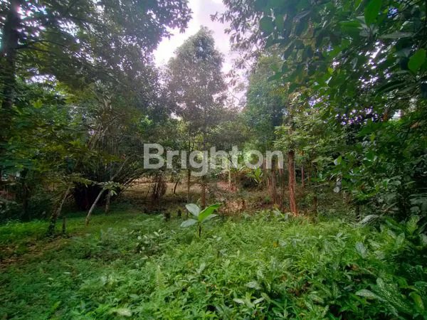 image DIJUAL TANAH LUAS LOKASI STRATEGIS DEPAN POLTEK BALIKPAPAN (1)