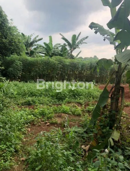 image TANAH DI CIDOKOM GUNUNG SINDUR  BOGOR (4)