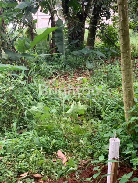 image TANAH DI CIDOKOM GUNUNG SINDUR  BOGOR (3)