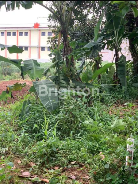 image TANAH DI CIDOKOM GUNUNG SINDUR  BOGOR (2)