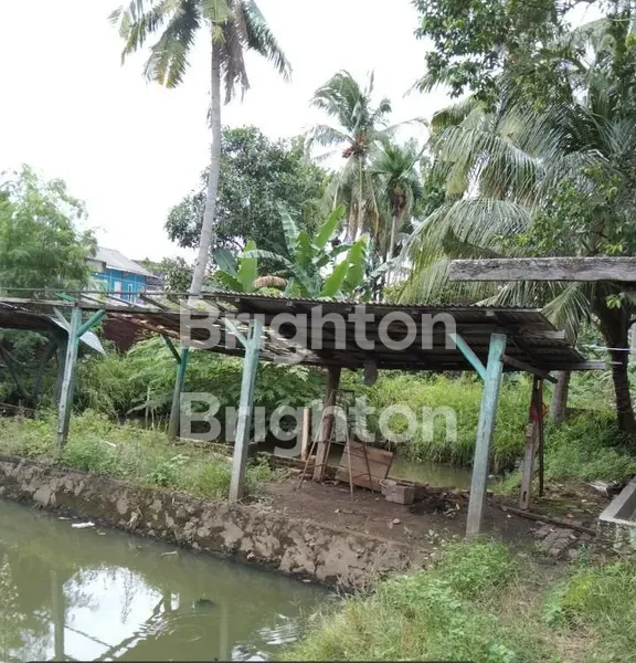 image JUAL TANAH DAN RUMAH BELAKANG RUMAH SAKIT BELEZZA (2)