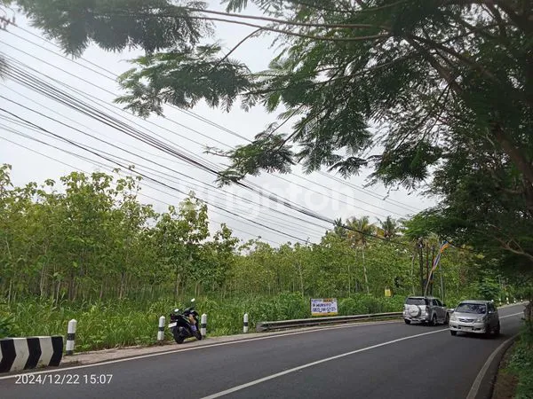 image TANAH PINGGIR JALAN BARON  (1)