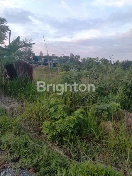 image TANAH PULAU BALANG (1)