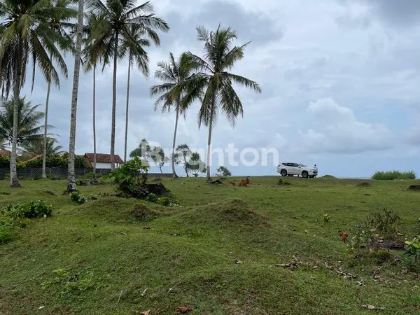 image JUAL TANAH PANTAI PESISIR BARAT BANDAR LAMPUNG  (2)