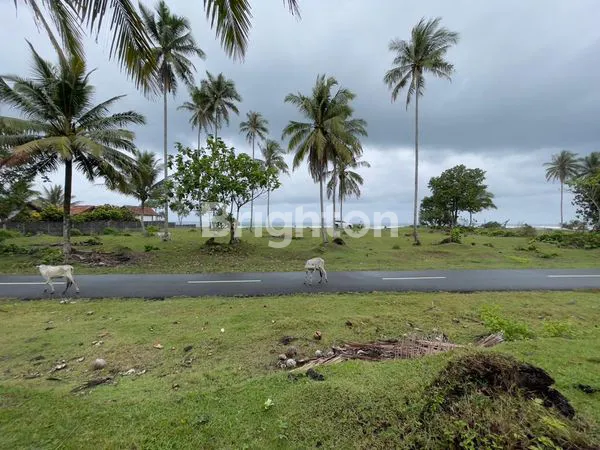 image JUAL TANAH PANTAI PESISIR BARAT BANDAR LAMPUNG  (3)