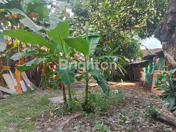 image TANAH PEKARANGAN. AKSES MOBIL. LINGKUNGAN PADAT PENDUDUK. HANYA 1,8 KM KE GEMBIRA LOKA ZOO. HARGA NEGO KERAS .BU (3)