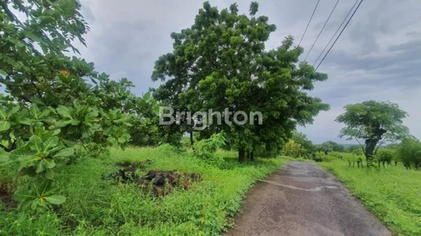 image FOR SALE - TANAH KARANG ASEM (1)