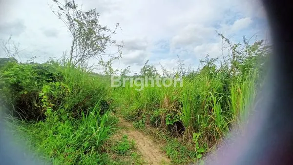 image TANAH PINGGIR JALAN RINGROAD 3 (3)