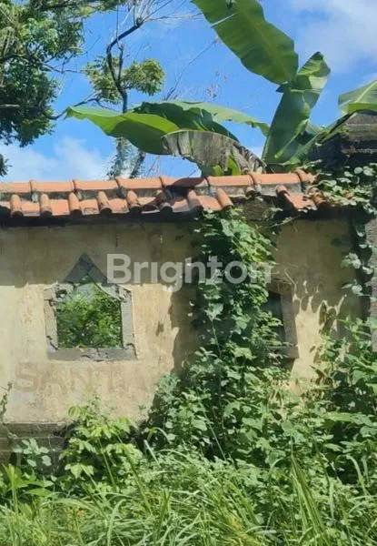 image TANAH 3 ARE DI NUSA DUA (1)