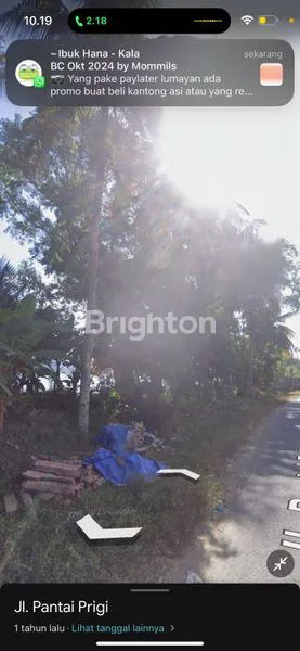 image TANAH KOMERSIAL JALAN RAYA PRIGI (5)