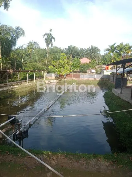 image TANAH +BANGUNAN + KOLAM IKAN (1)