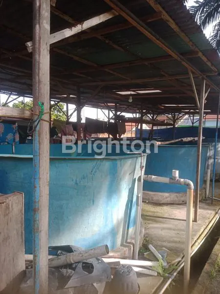 image TANAH +BANGUNAN + KOLAM IKAN (4)
