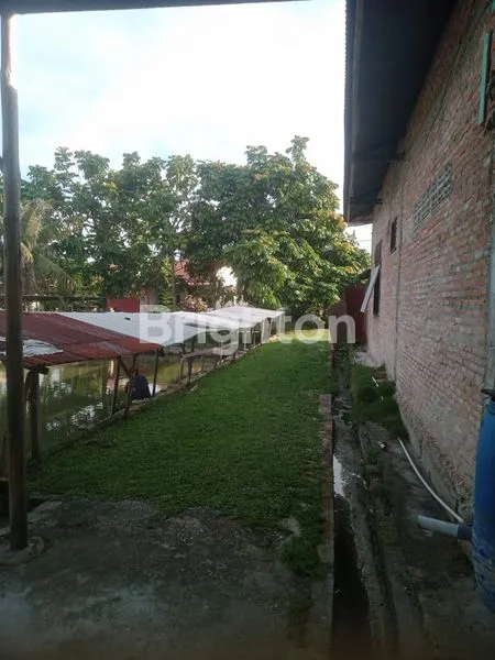 image TANAH +BANGUNAN + KOLAM IKAN (3)