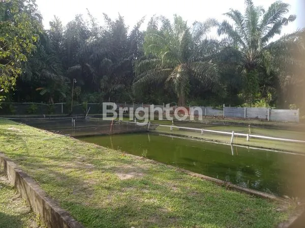 image TANAH +BANGUNAN + KOLAM IKAN (6)