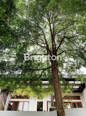 image RUMAH MEWAH CLASSIC MEDITERANIA SURABAYA PUSAT (VA) (2)