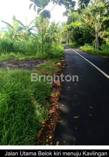 TURUN HARGA TANAH KAVLING LINGKUNGAN NYAMAN COCOK UNTUK VILLA  DI PERING GIANYAR