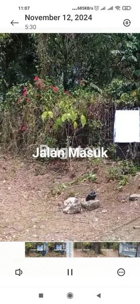 image TANAH DI JUAL (3)