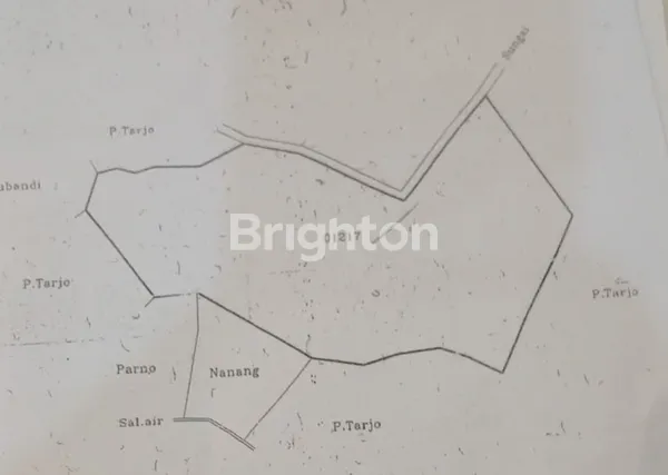 image KEBUN DUREN WONOSALAM SIAP UNTUK AGROBISNIS (5)