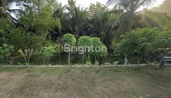 image TANAH PANTAI GENTING HADIWARNO SIDOMULYO PACITAN JAWA TIMUR  (2)