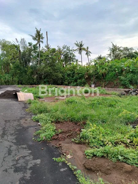 image TANAH KAVLING SUASANA NYAMAN DAN ASRI LOKASI PERING GIANYAR (2)
