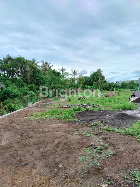 image TANAH KAVLING SUASANA NYAMAN DAN ASRI LOKASI PERING GIANYAR (3)
