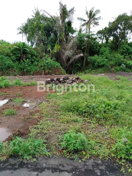 image TANAH KAVLING SUASANA NYAMAN DAN ASRI LOKASI PERING GIANYAR (6)