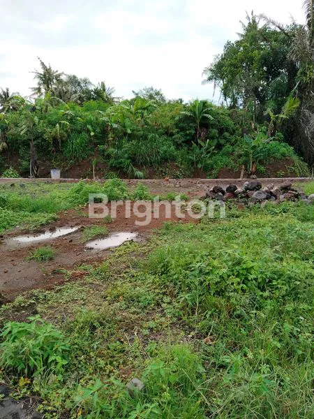 image TANAH KAVLING SUASANA NYAMAN DAN ASRI LOKASI PERING GIANYAR (7)