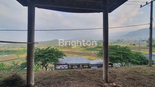 image TANAH DI TRAWAS COCOK UNTUK VILLA (4)