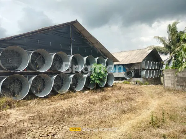 image DISEWAKAN CEPAT! TANAH STRATEGIS ±2.1 HEKTAR DI KALIANDA, LAMPUNG SELATAN (2)