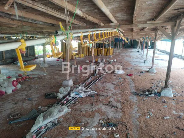 image DISEWAKAN CEPAT! TANAH STRATEGIS ±2.1 HEKTAR DI KALIANDA, LAMPUNG SELATAN (4)