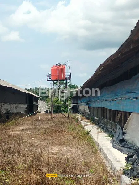 image DISEWAKAN CEPAT! TANAH STRATEGIS ±2.1 HEKTAR DI KALIANDA, LAMPUNG SELATAN (7)
