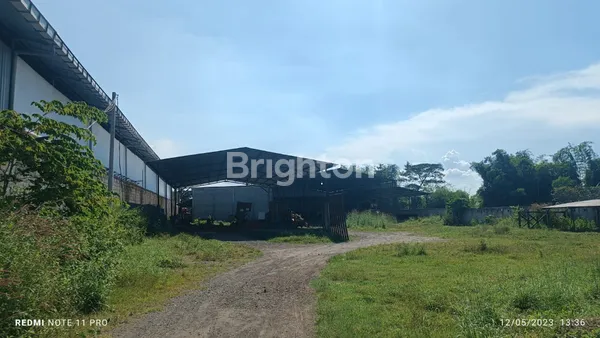 image DIJUAL PABRIK KAYU MOJOSARI (7)