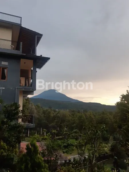 image TANAH DAN GUEST HOUSE DI DESA MUNDUK SINGARAJA (1)