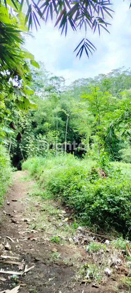 image JUAL RUMAH + BONUS TANAH LUAS 1463 + BONUS 4 AC  (7)