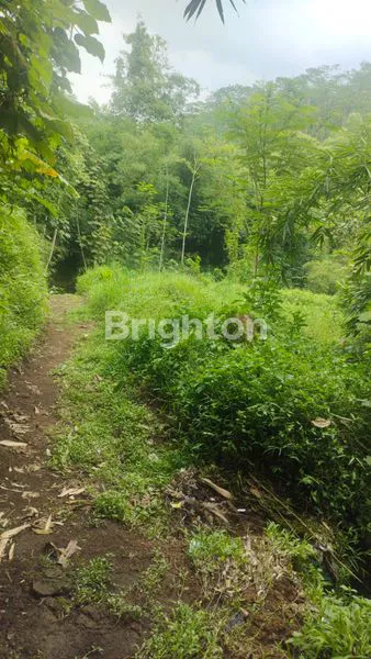 image JUAL RUMAH + BONUS TANAH LUAS 1463 + BONUS 4 AC  (8)