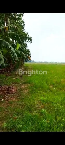 image TANAH LUAS PINGGIR JALAN BEKASI UTARA (2)