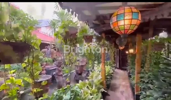 image RUMAH CLASSIC BOUTIQUE GUEST HOUSE* DI JL. LEBAK BULUS CILANDAK JAKARTA SELATAN (8)