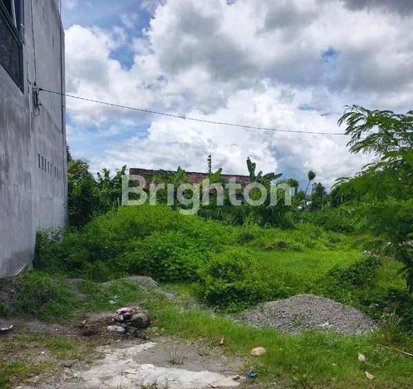 image TANAH SIAP BANGUN DI KANIGORO KRAS KEDIRI (1)