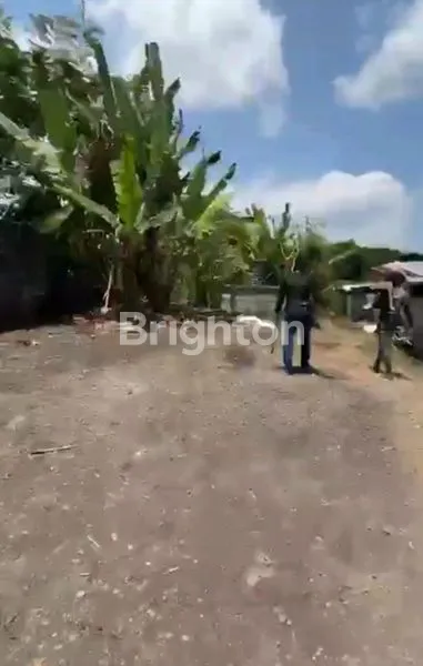 image TANAH DI PERBATASAN MEKARSARI BATURITI (2)