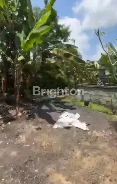 image TANAH DI PERBATASAN MEKARSARI BATURITI (1)