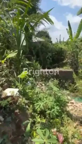 image TANAH DI PERBATASAN MEKARSARI BATURITI (3)