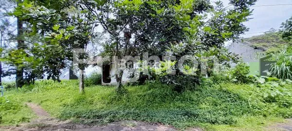 image TANAH AREA VILLA GUNUNG BURING DEKAT EXIT TOL SBY-MALANG (1)