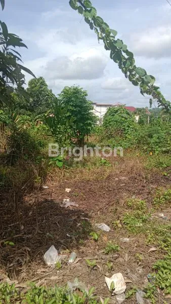 image TANAH KOMERSIL DEKAT PINTU TOL  (3)