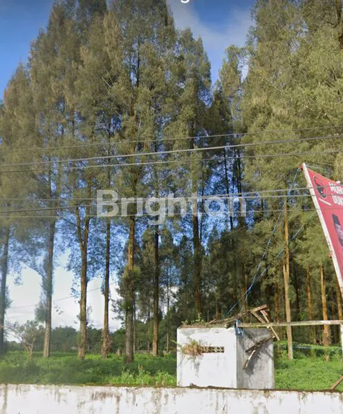 image TANAH 25000 BERASTAGI (6)